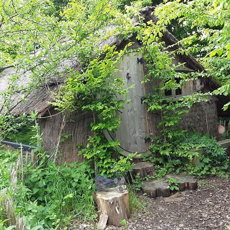 Cabane D'Augustin Saint-Augustin  Bagian luar foto